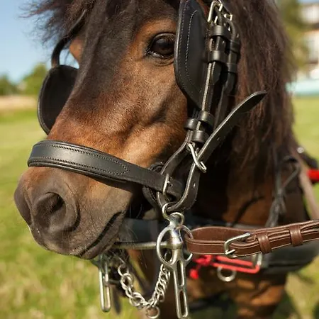 Cedrowy Dworek 4*