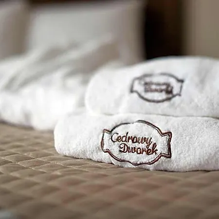 Bed & Breakfast Cedrowy Dworek 4*